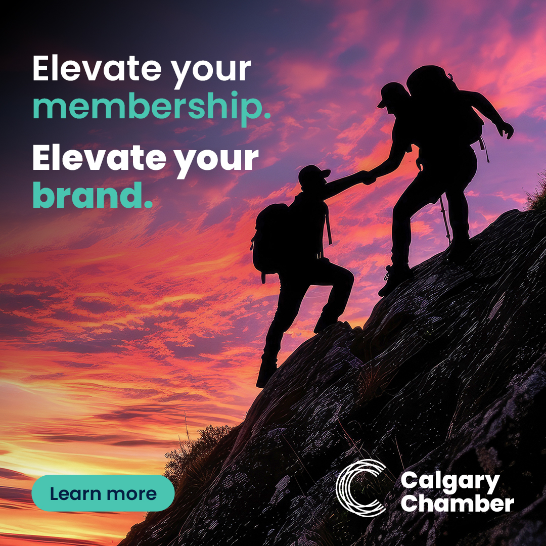 Elevate your brand March Promotion