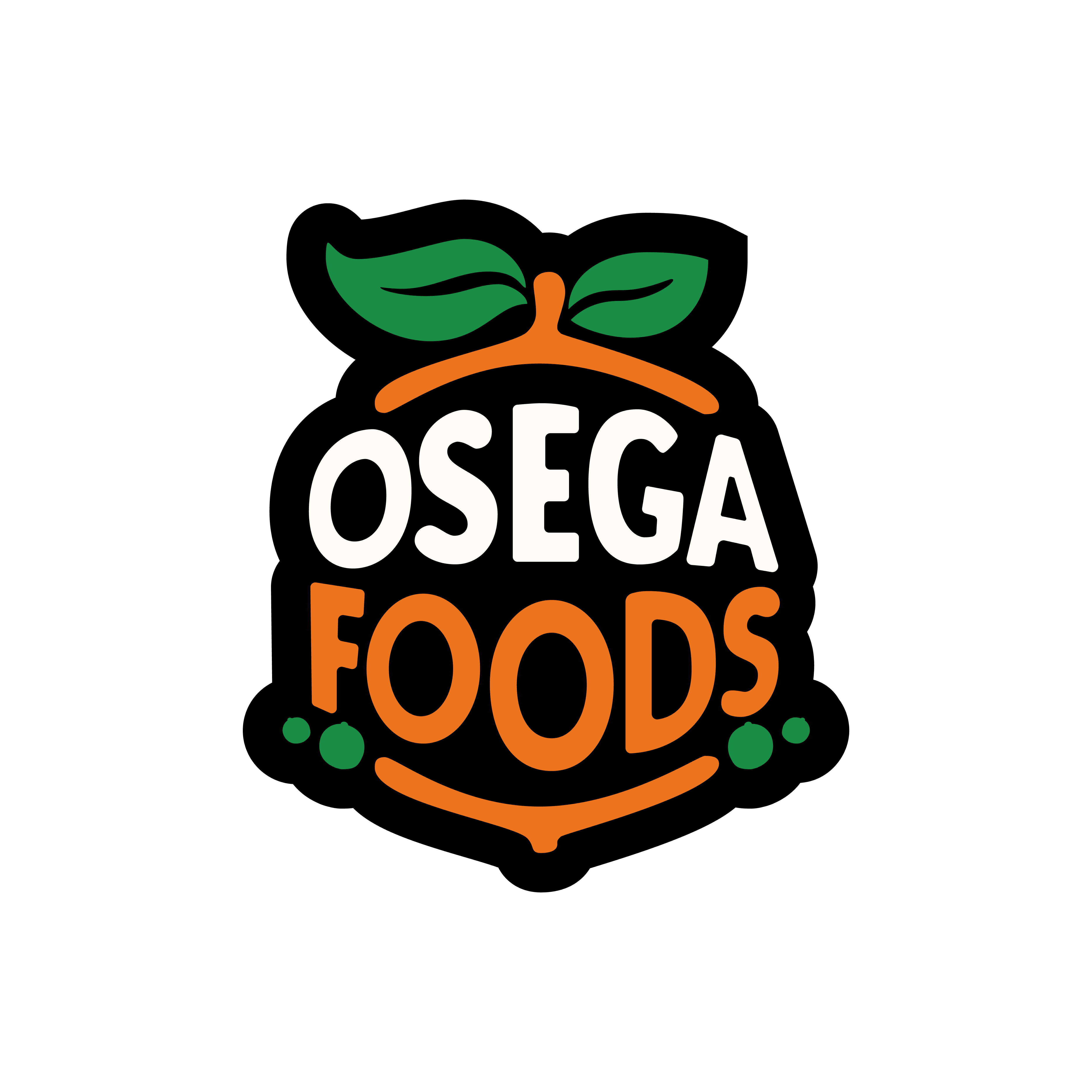OSEGA INTERNATIONAL DISTRIBUTION INC logo