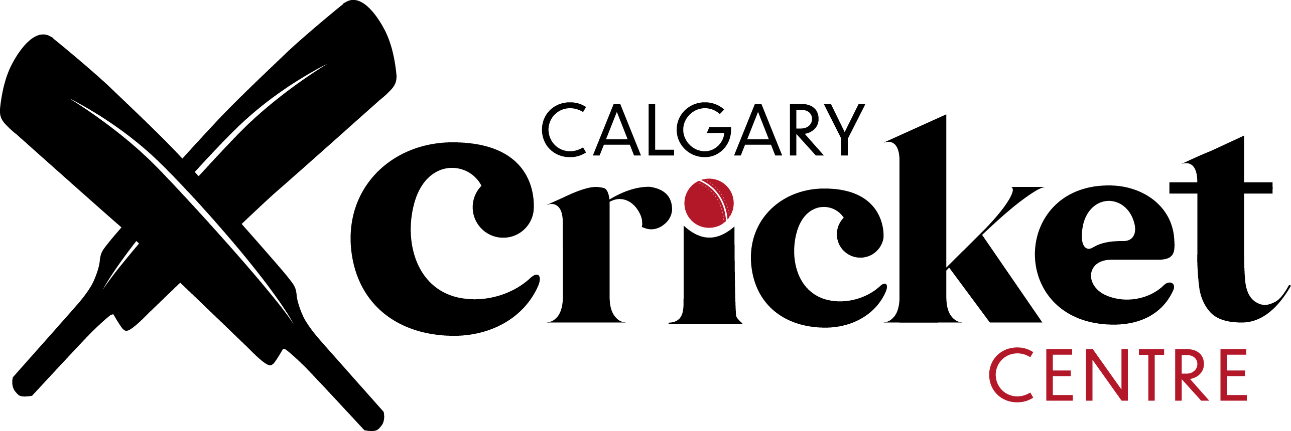 Members receive 10% off the facility portion of their first birthday party or group booking - Calgary Cricket Centre