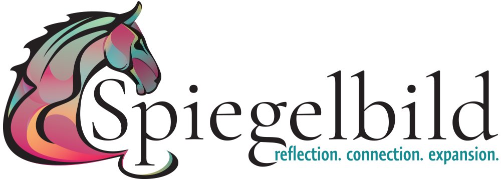Spiegelbild logo