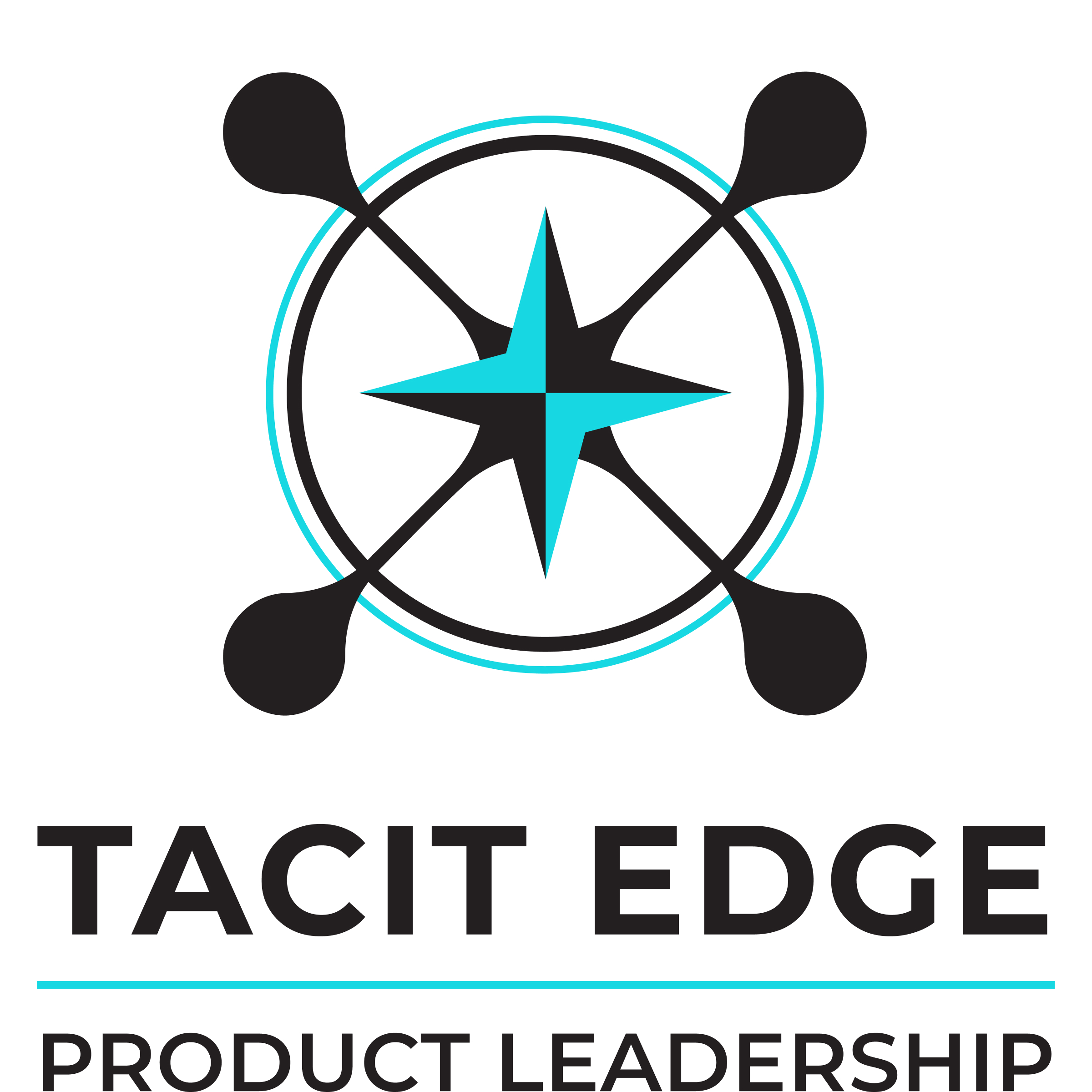 Tacit Edge logo