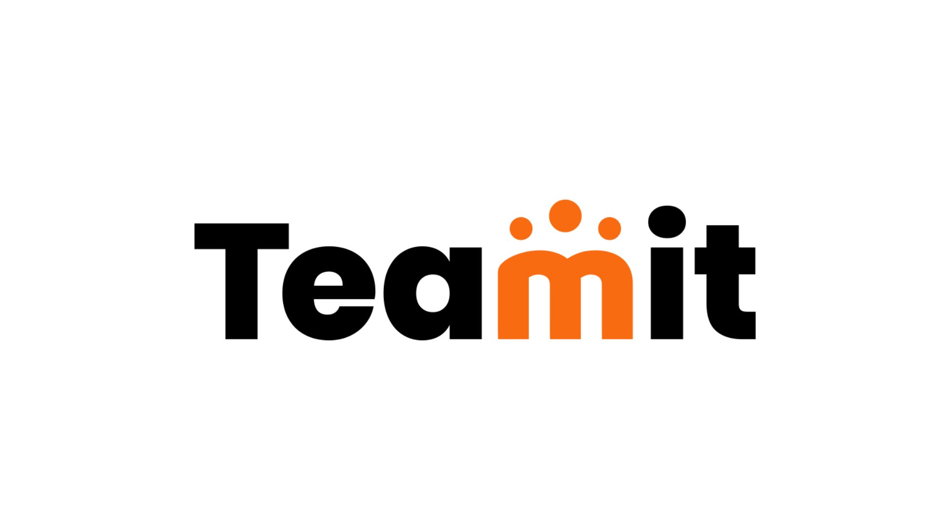 Teamit logo