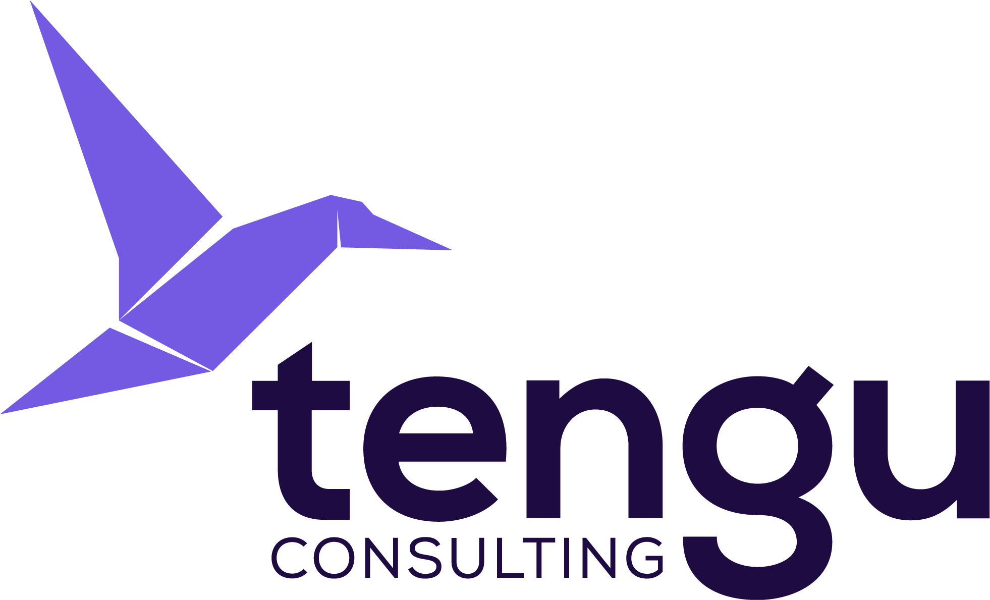 Tengu Consulting logo